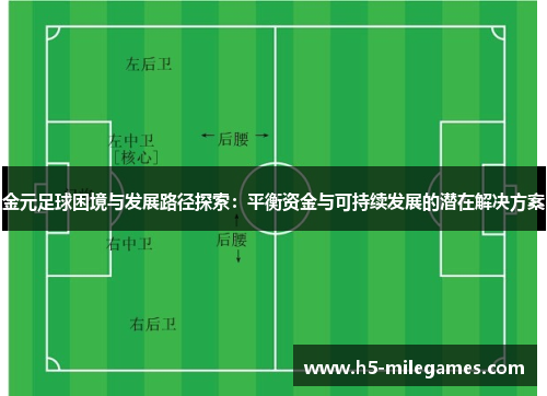 金元足球困境与发展路径探索：平衡资金与可持续发展的潜在解决方案