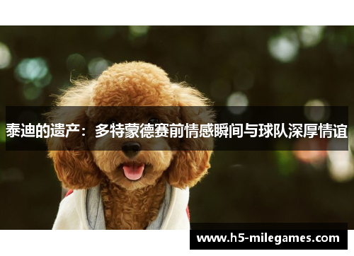 泰迪的遗产：多特蒙德赛前情感瞬间与球队深厚情谊