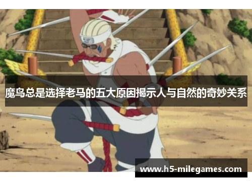 魔鸟总是选择老马的五大原因揭示人与自然的奇妙关系